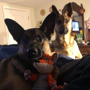 Meet your Posher, Brandy